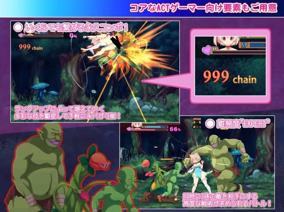 图片[2]-贝尔海姆的迷途猫|生肉-遇见萝莉