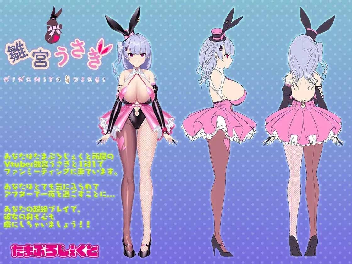 图片[1]-和VTuber姐姐一起|V1.05|DL官中【PC+安卓】-遇见萝莉